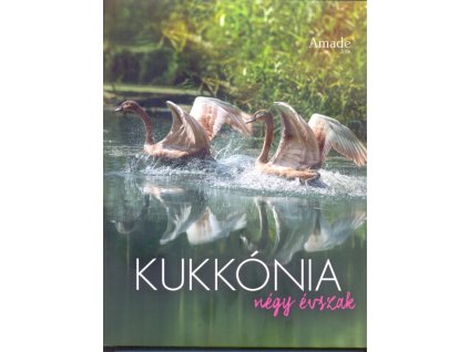 Kukkónia - Négy évszak