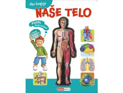 Ako funguje naše telo