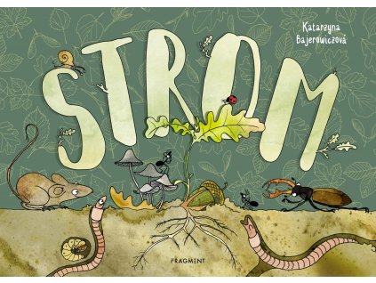 Strom