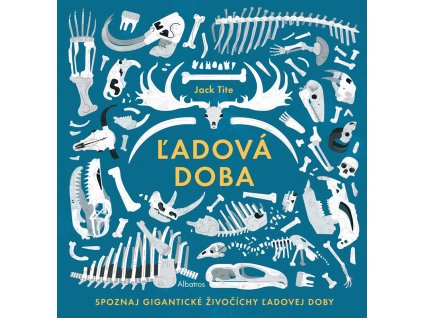 Ľadová doba