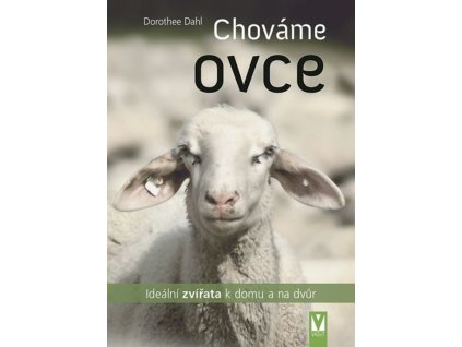 Chováme ovce – ideální zvířata k domu a na dvůr