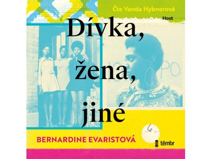 Dívka, žena, jiné - audioknihovna