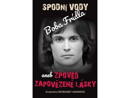 Spodní vody Boba Frídla aneb zpověď zapovězené lásky