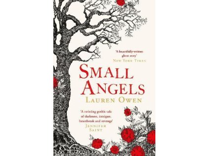 Small Angels: ´A twisting gothic tale of darkness, intrigue, heartbreak and revenge´ Jennifer Saint