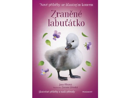 Nové příběhy se šťastným koncem – Zraněné labuťátko
