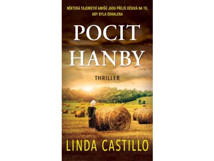 Pocit hanby