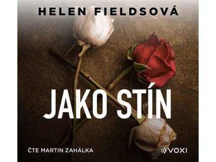 Jako stín (audiokniha)