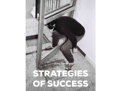Strategies of Success/Stratégie úspechu - Slovenské umenie v zbierkach zahraničných múzeí