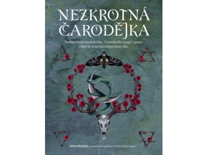 Nezkrotná čarodějnice
