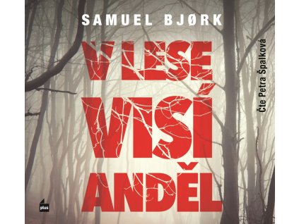 V lese visí anděl (audiokniha)