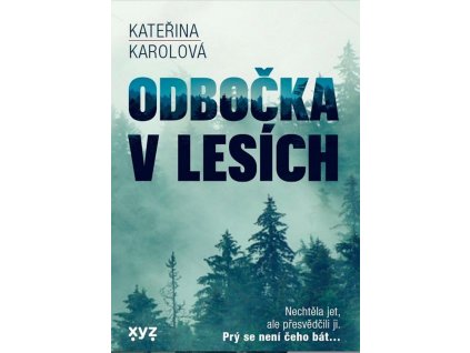 Odbočka v lesích