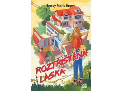 Roztříštěná láska