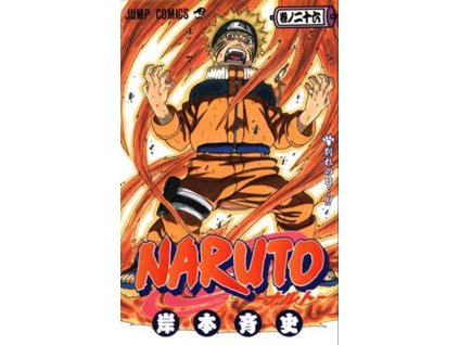 Naruto 26: Odloučení