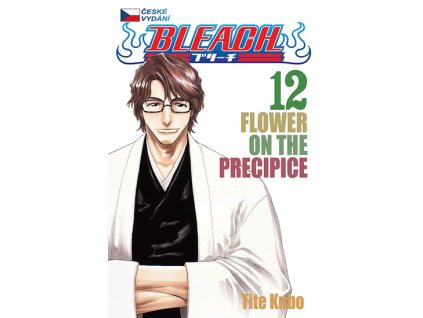 Bleach 12: Flower On The Precipice