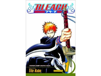 Bleach 1: The Death And The Strawberry
