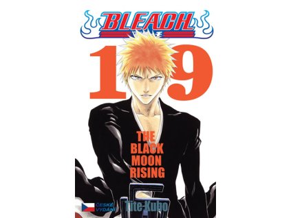 Bleach 19: The Black Moon Rising