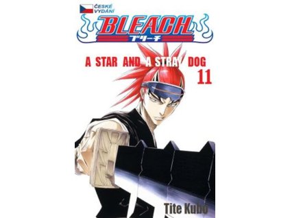 Bleach 11: A Star And A Stray Dog