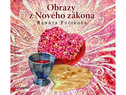 Obrazy z Nového zákona (audiokniha pro děti)