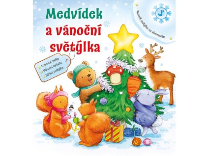 Medvídek a vánoční světýlka