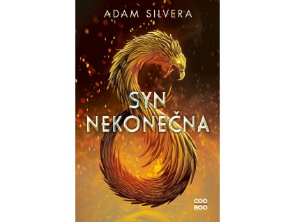 Syn nekonečna