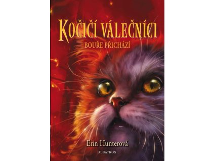Kočičí válečníci (4) - Bouře přichází