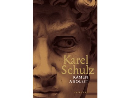 Kámen a bolest
