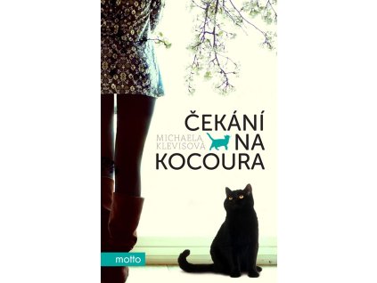 Čekání na kocoura