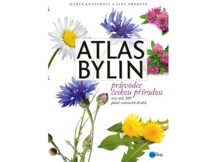 Atlas bylin
