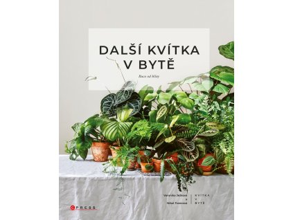 Další kvítka v bytě: Ruce od hlíny