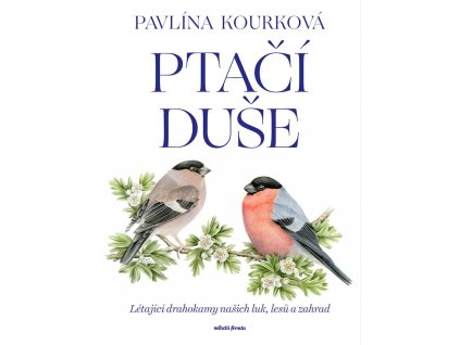 Ptačí duše