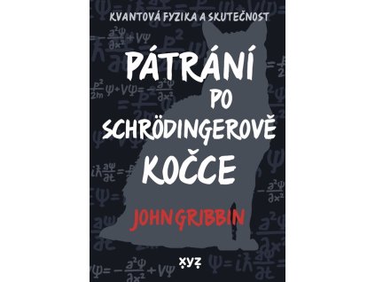 Pátrání po Schrödingerově kočce