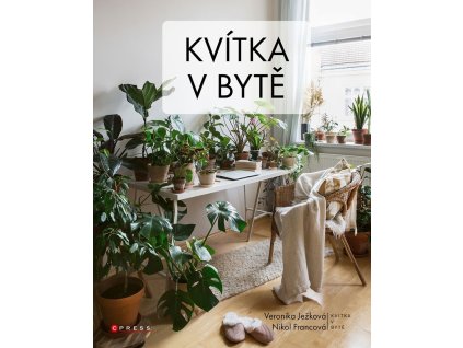 Kvítka v bytě