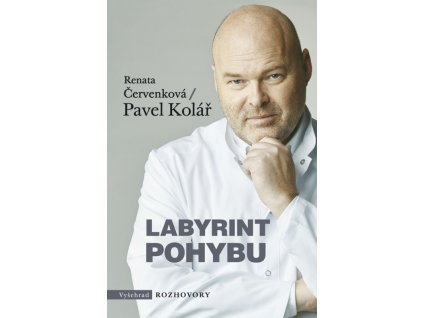Labyrint pohybu