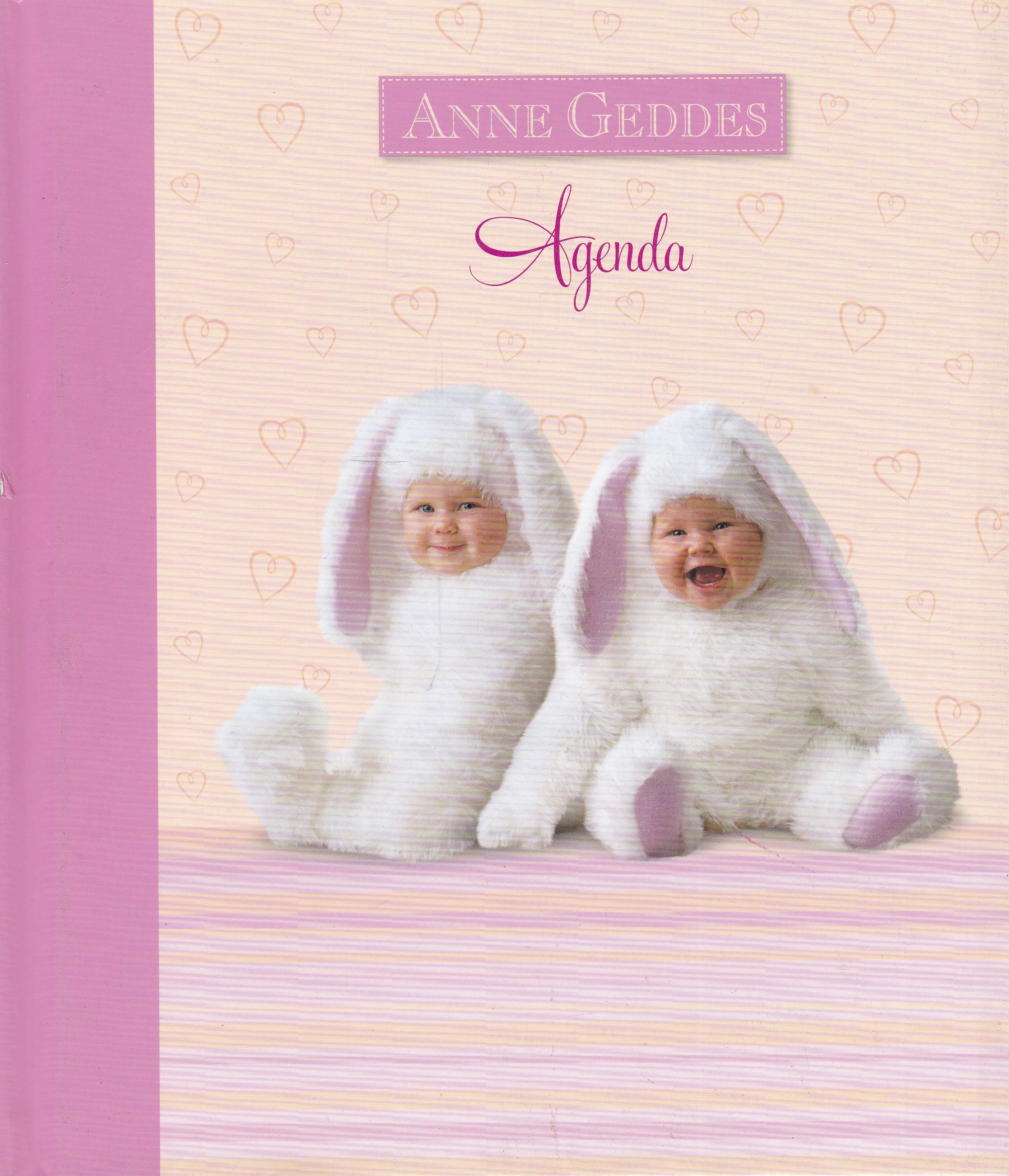 Agenda - Anne Geddes
