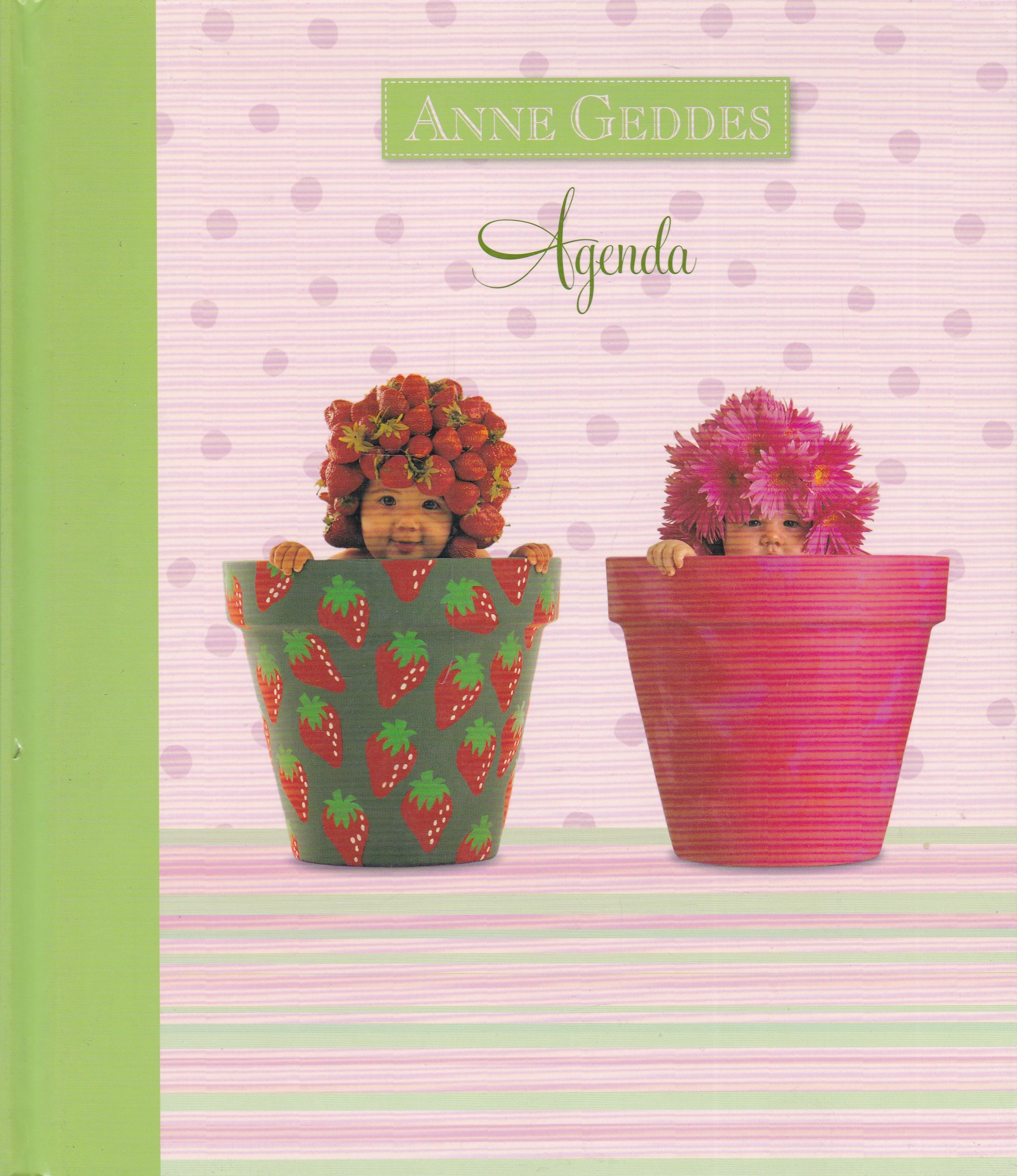 Agenda - Anne Geddes