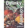 Bylinky a koreniny v kuchyni