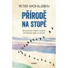 Přírodě na stopě - Jak pozorovat, chápat a využívat přírodní jevy nejen na zahradě