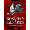 Bosorky a čarodejnice - Dejiny prenasledovania