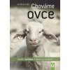 Chováme ovce – ideální zvířata k domu a na dvůr