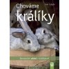 Chováme králíky – nenároční ušáci v králíkárně