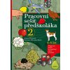 Pracovní sešit předškoláka 2