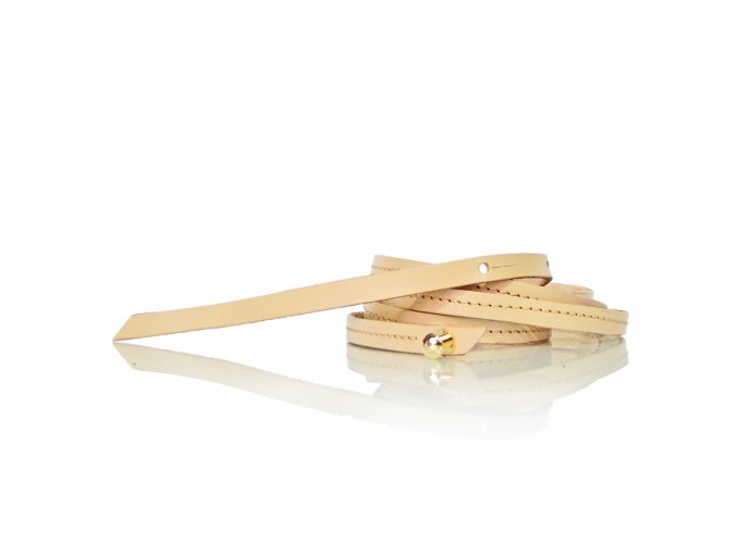 ONE (Barva kůže metalická stříbrná (+1000,-), Kování zlatá)