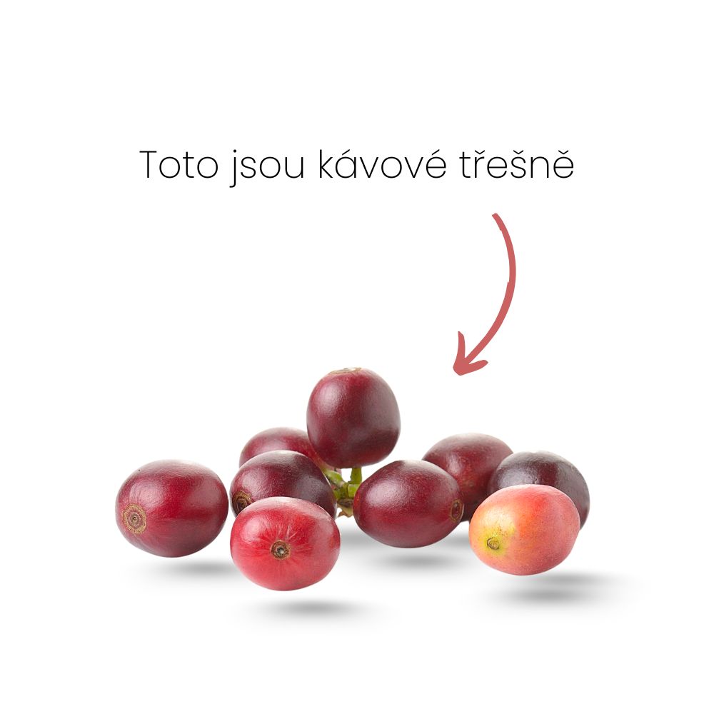 kávové třešně