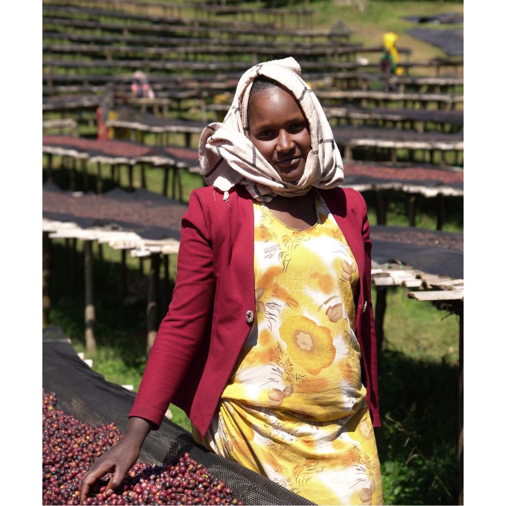 Idido promývací stanice