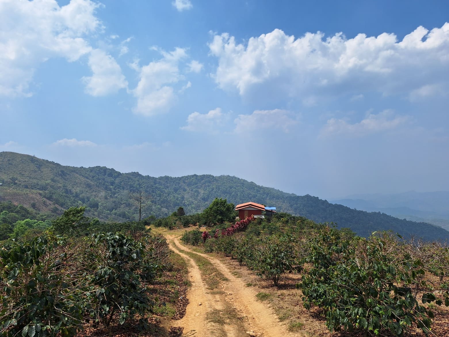 Na hoře Suan Ya Luang