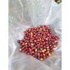 THAILAND SUAN YA LUANG - Arabica / Robusta blend