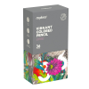 Mideer Pastelky v zářivých barvách -  36 ks