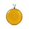 Dámska retiazka s príveskom kruh v žltej farbe Iris/Šperky z chirurgickej ocele