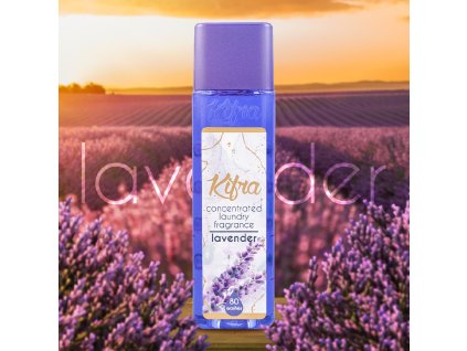 Lavanda Kifra Scene EN Square