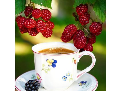 espresso set petite fleur